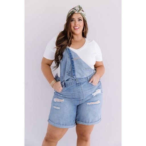 Distre ed Overalls   Curves